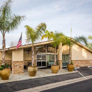 A modern building entrance surrounded by palm trees, featuring an American flag.