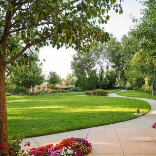 A serene garden with a winding pathway surrounded by lush grass, trees, and vibrant flowers.