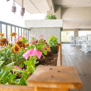 A vibrant balcony garden with colorful flowers in wooden planters.