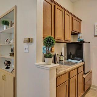 A small kitchen area with wooden cabinets, a mini-fridge, and decorative plants.