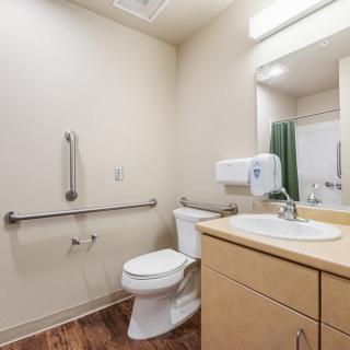 An accessible bathroom with handrails, a toilet, and a sink.