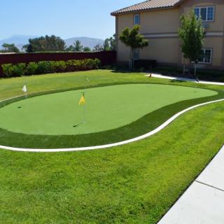 A backyard putting green with artificial turf and flags.