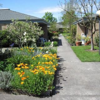 A serene garden path lined with blooming flowers and flanked by houses.