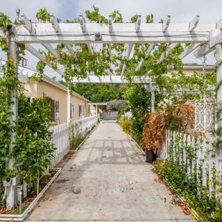 A garden pathway covered by a pergola with vines.