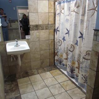 A bathroom featuring a sink and a shower area with a seashell-patterned curtain.
