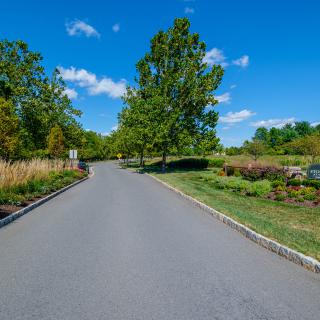 A scenic road surrounded by lush greenery and clear blue sky.