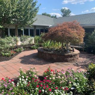 A serene garden featuring a beautifully landscaped pathway, vibrant flowers, and a bonsai tree.