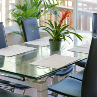 A modern dining room with a glass table and chairs, adorned with a plant centerpiece.