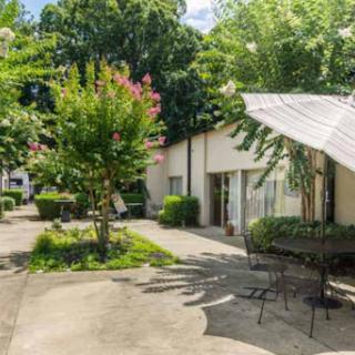 A serene outdoor space surrounded by lush greenery, perfect for relaxation.