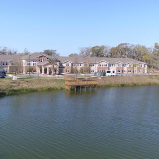 A peaceful view of a residential area by the lake on a clear day.