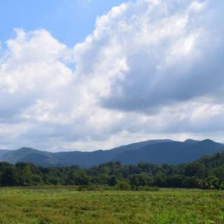A scenic view of mountains beneath a cloudy sky with a grassy field in the foreground.