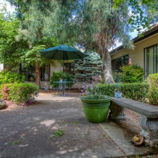 A serene garden patio with a large umbrella, surrounded by lush greenery and potted plants.