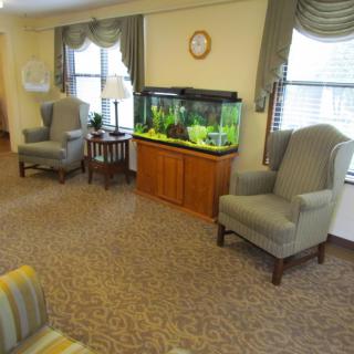 A cozy living room with armchairs, a large aquarium, and windows with curtains.