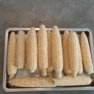 A tray of fresh, raw corn cobs ready for cooking.