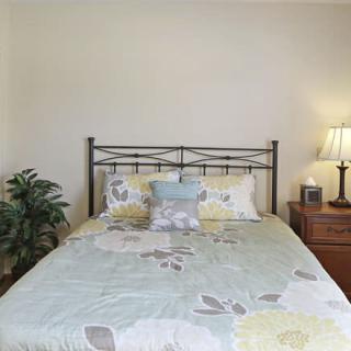 A cozy bedroom with a neatly made bed, a lamp on the nightstand, and a decorative plant in the corner.