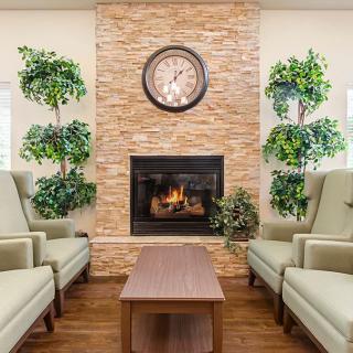 Cozy living room with a fireplace, surrounded by armchairs and indoor plants.