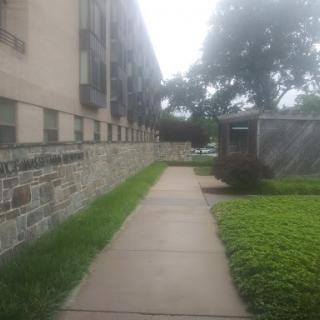 A serene outdoor pathway alongside a building, bordered by grass and trees.
