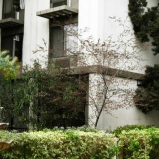 A building facade surrounded by lush greenery and plants.