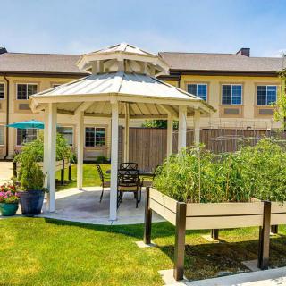 A charming gazebo surrounded by greenery in a garden setting, with a building visible in the background.