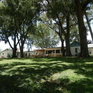 A view of a house surrounded by trees and a lush green lawn, with sunlight creating patterns of shadows.