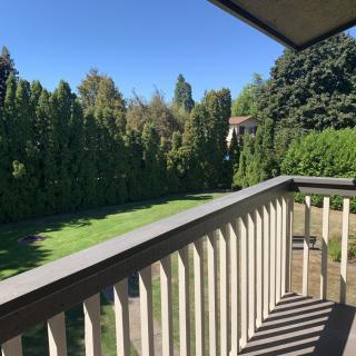 A sunny outdoor view from a balcony overlooking a grassy area bordered by tall trees.