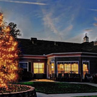 A warmly lit house with a Christmas tree adorned with lights in the front yard during the evening.