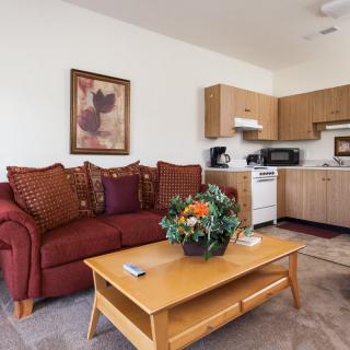 Cozy open-plan living room with a sofa and adjoining kitchen area.
