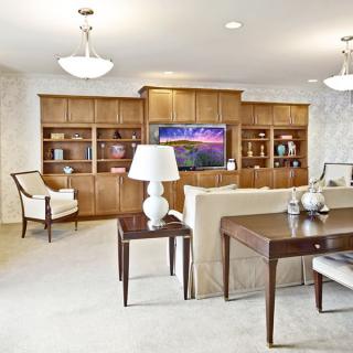 A modern living room with wooden shelves and stylish furniture.