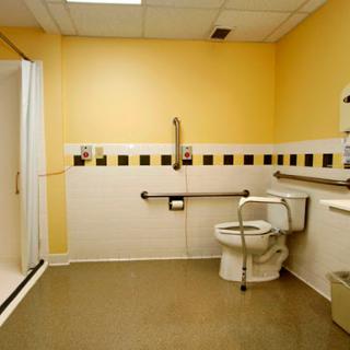An accessible bathroom featuring a toilet and shower, designed with handrails for support.