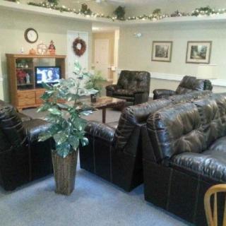 A cozy living room with leather sofas, a television, and decorative plants.