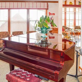 A grand piano in a bright living room with large windows and elegant decor.