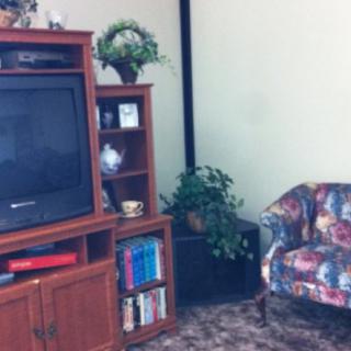 A cozy living room corner featuring an entertainment center with a TV, books, and decor, alongside a colorful armchair and houseplants.