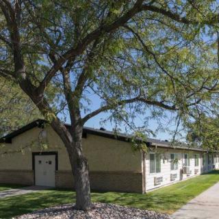 A residential building with a large tree and a sidewalk on a sunny day.