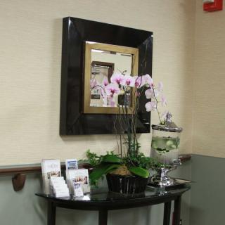 A decorative arrangement with orchids and brochures under a mirror.