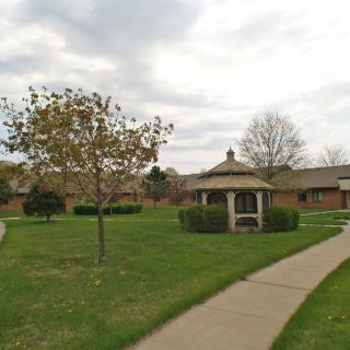 The Willows