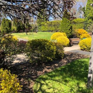A serene view of a well-maintained garden showcasing vibrant bushes and a pathway.