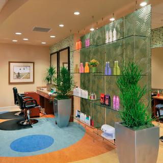 A modern hair salon interior with stylish chairs, shelves displaying hair products, and decorative plants.