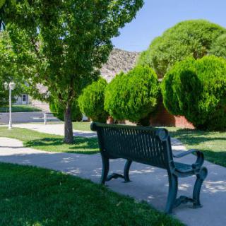 A peaceful park scene featuring a bench surrounded by lush trees and greenery.