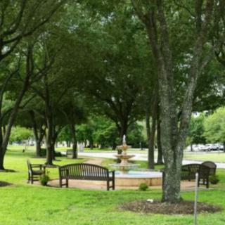 St Dominic Village Nursing Home