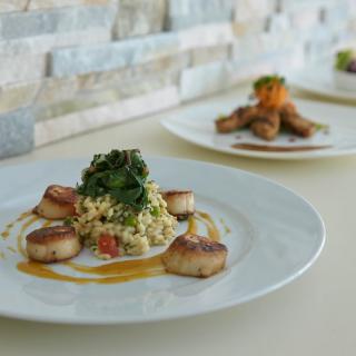 A beautifully plated gourmet dish featuring seared scallops with a vegetable medley.