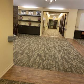 A well-lit hallway featuring carpeted flooring and shelves displaying various items.
