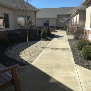 A serene outdoor walkway lined with neatly trimmed shrubs, leading through a landscaped area under a clear blue sky.