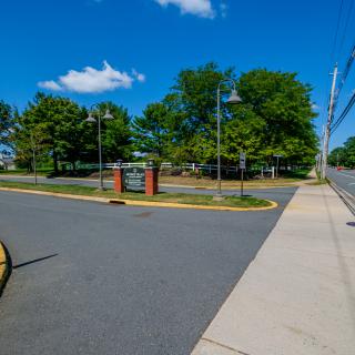 A sunny day on a quiet street with trees and lamp posts lining the sidewalk.