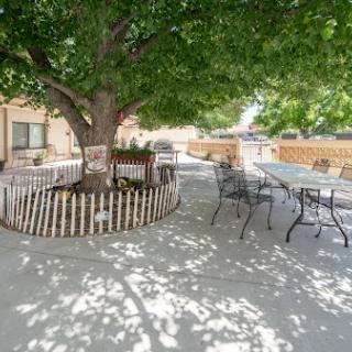 A serene outdoor patio with a large tree providing shade, surrounded by seating for relaxation.
