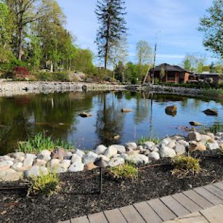 A serene view of a pond surrounded by lush greenery and blooming flowers.