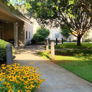 A serene garden pathway lined with vibrant flowers and lush greenery.