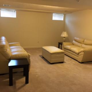 A minimalist basement living room with sofas, a lamp, and a carpeted floor.