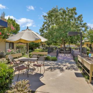 A sunny outdoor patio area with tables, chairs, and umbrellas surrounded by lush greenery.