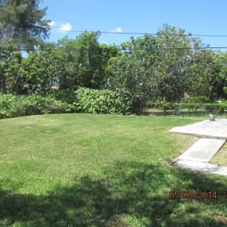 A sunny backyard with a grassy lawn and trees in the background.