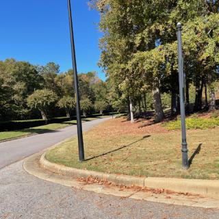 A winding road bordered by trees and lamp posts under a clear blue sky.